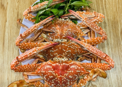 an-oc-binh-dan-vung-tau-o-dau-ngon-tuan-hai-san-la-lua-chon-hang-dau